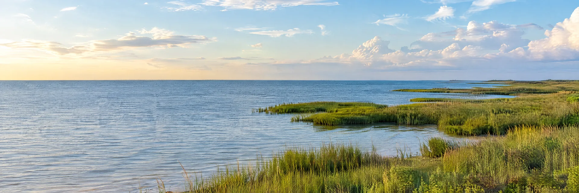 Illustration inspired by Texas City, TX: texas Gulf bay shoreline with marsh grass, flat coastal prairie and open sky.