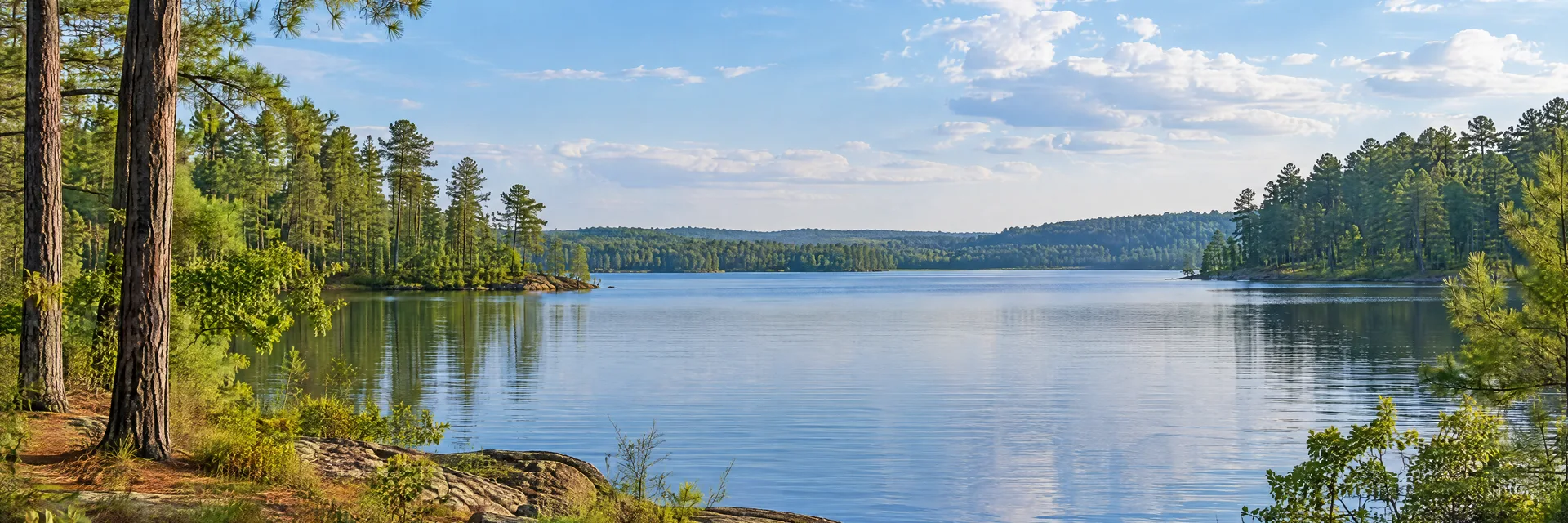 Illustration inspired by Tyler, TX: east Texas pine forest surrounding a calm freshwater lake.