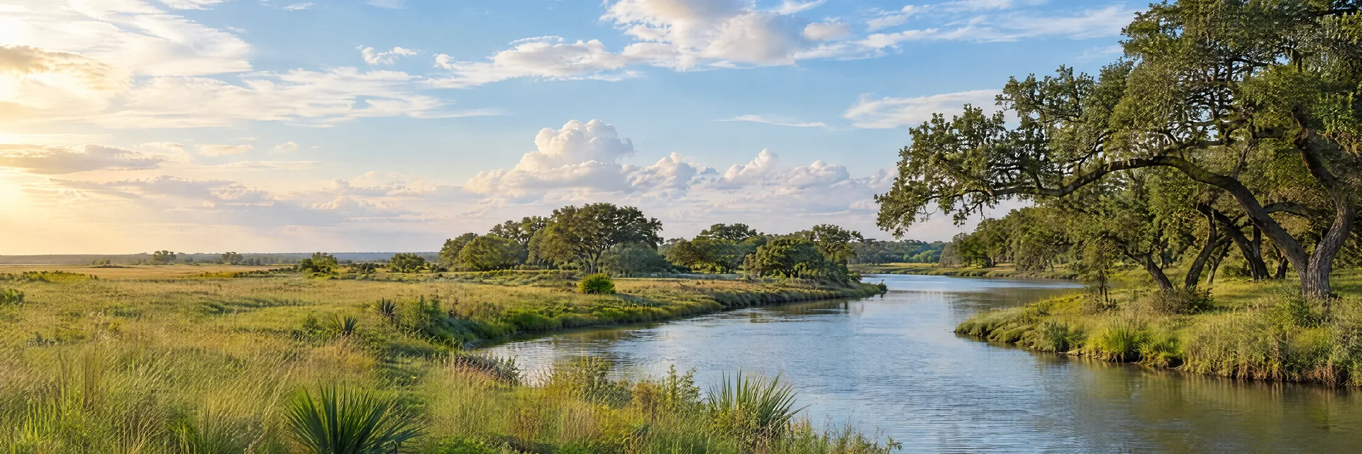 Illustration inspired by Victoria, TX: texas coastal prairie, live oak groves, grassy riverbanks and broad sky.