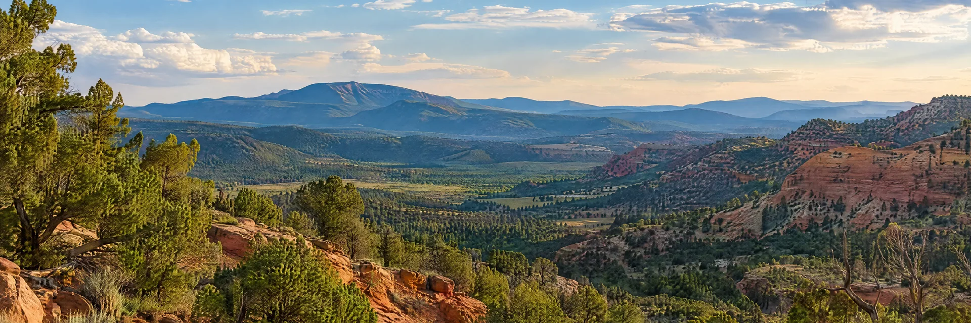Illustration inspired by Cedar City, UT: southern Utah high country with junipers, red rock slopes and distant forested ridges.