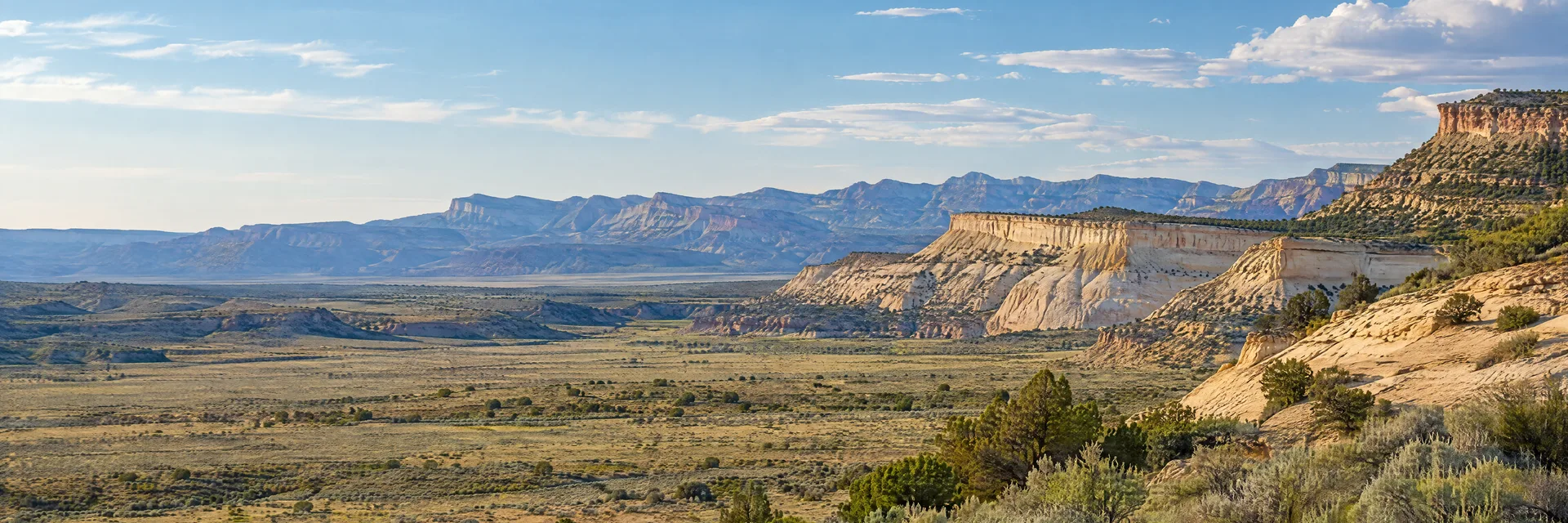 Illustration inspired by Price, UT: eastern Utah high desert, broad sagebrush flats, pale sandstone and shale mesas and distant dry rugged ridges.