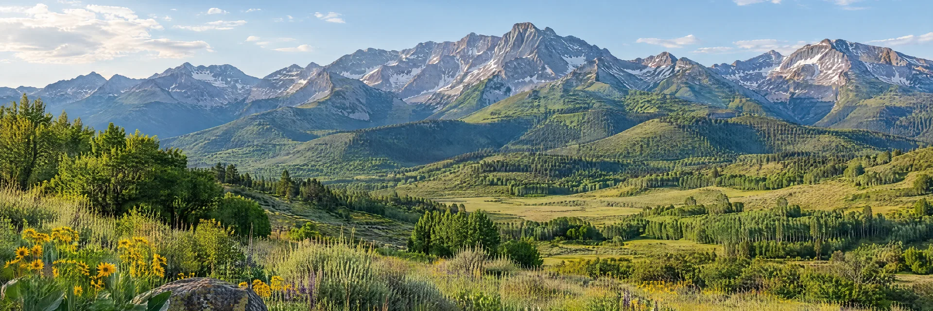 Illustration inspired by Salt Lake City, UT: wasatch foothill meadow with rugged mountain range behind, no skyline.