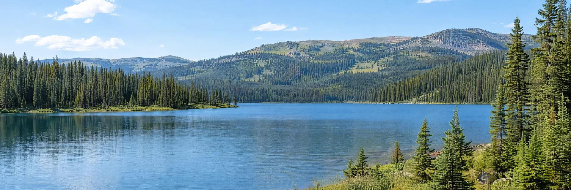 Illustration of a mountain lake and alpine conifer forest inspired by the north slope of the Uinta Mountains near Stateline, Utah.