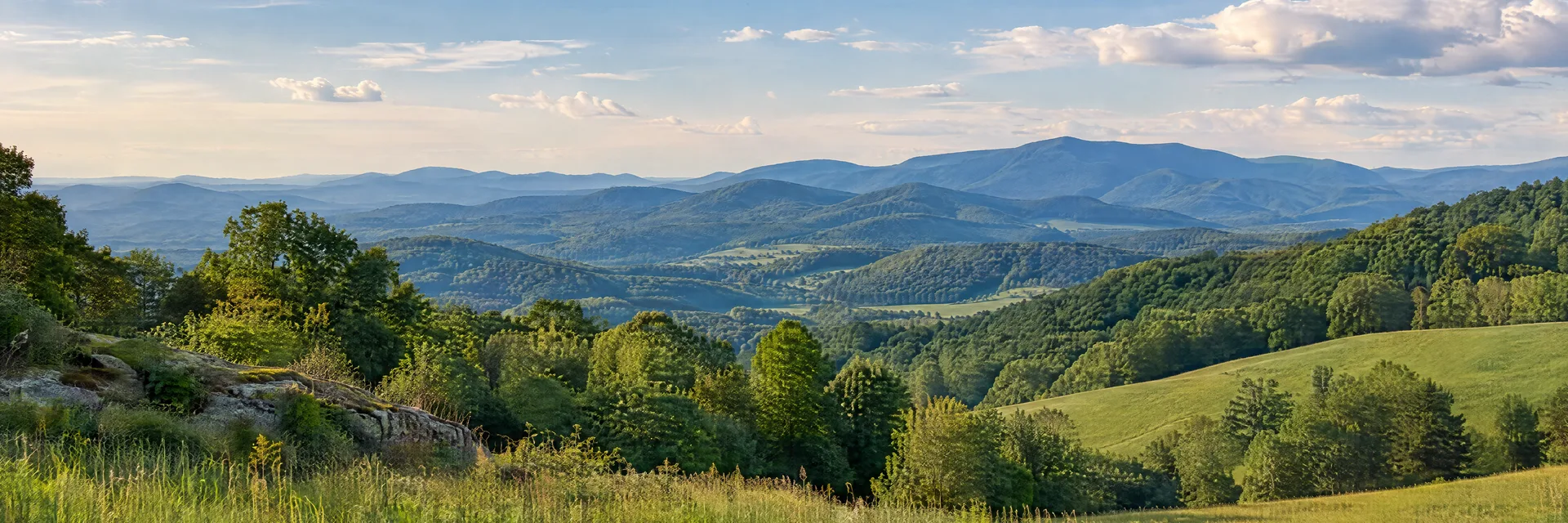 Illustration inspired by Floyd, VA: southwestern Virginia Blue Ridge rolling hills, hardwood woods and pastoral green meadow.