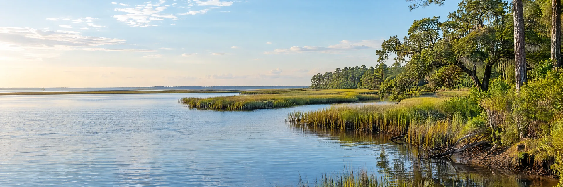 Illustration inspired by Hayes, VA: virginia Tidewater quiet tidal creek with marsh grasses, loblolly pines, leafy oaks and a broad low coastal horizon.
