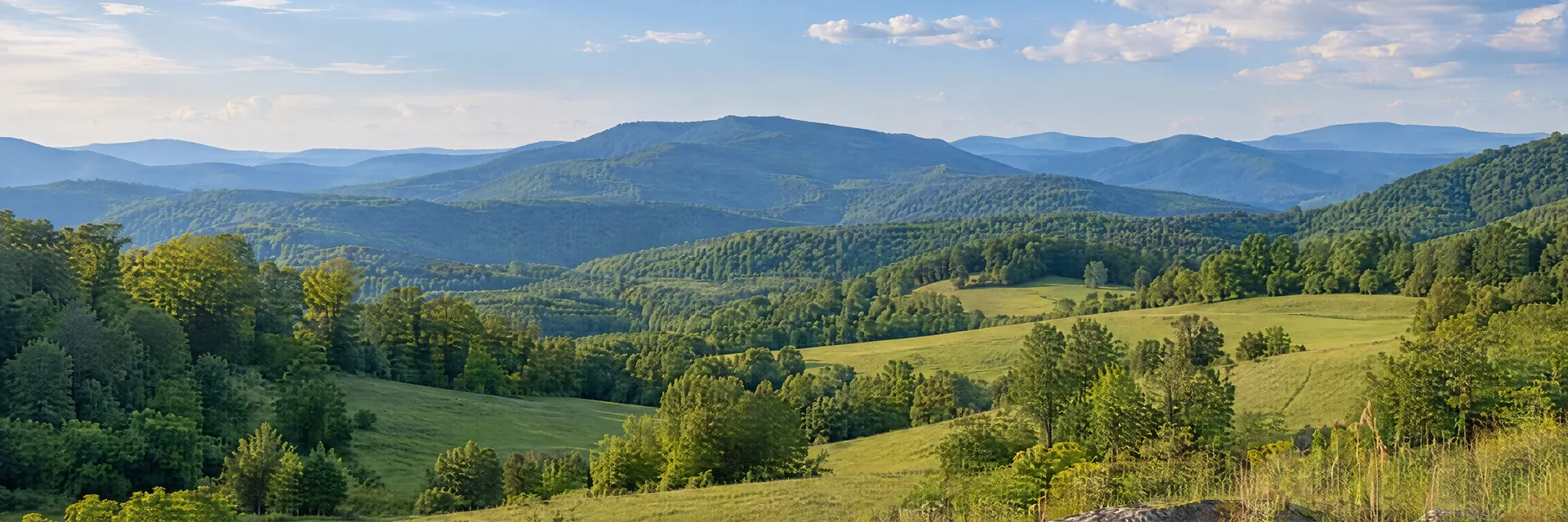 Illustration inspired by Pilot, VA: southwestern Virginia upland countryside, rolling green pastures and forested Blue Ridge hills beneath a soft summer sky.