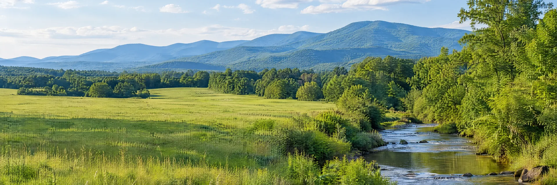 Illustration inspired by Verona, VA: virginia Shenandoah Valley, broad green pasture, leafy creek banks and distant rounded Blue Ridge mountain slopes.