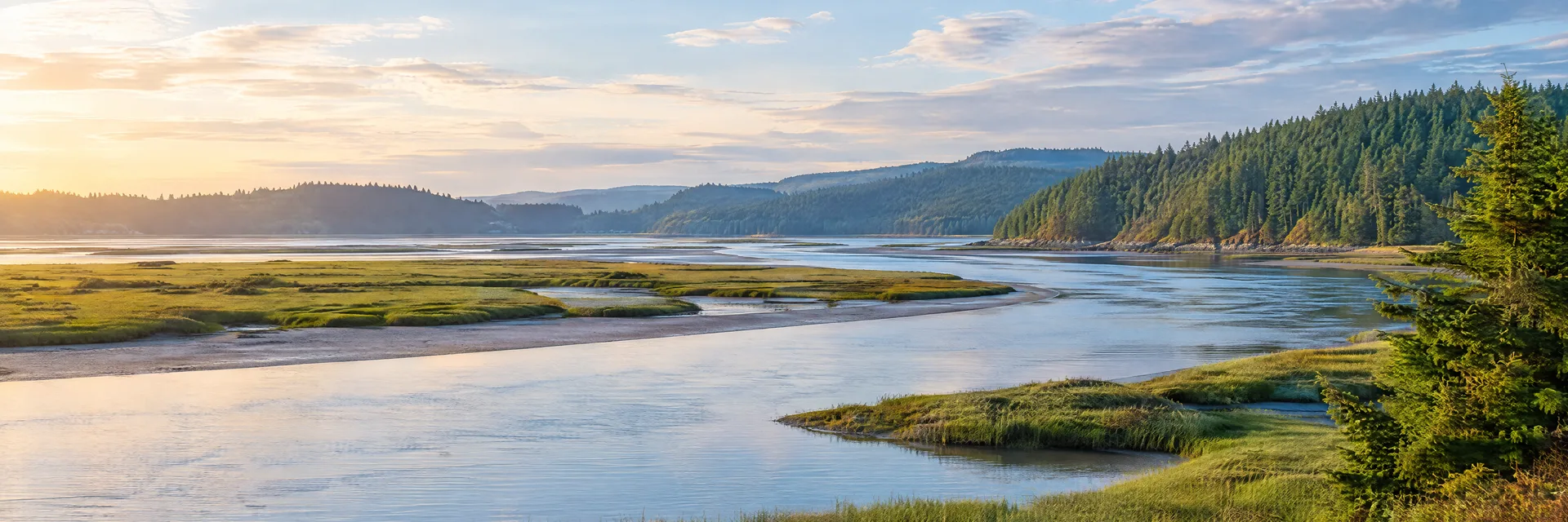 Illustration inspired by Aberdeen, WA: southwest Washington tidal river estuary with evergreen-covered hills, marsh grass and soft coastal light.