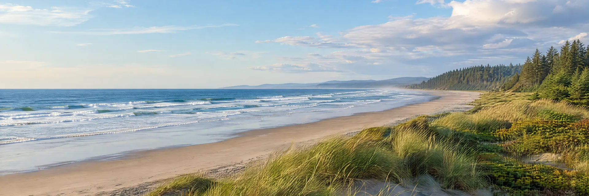 Illustration inspired by Copalis Beach, WA: washington Pacific coast, broad sandy beach, gentle ocean surf, grassy dunes and evergreen woodland set inland.