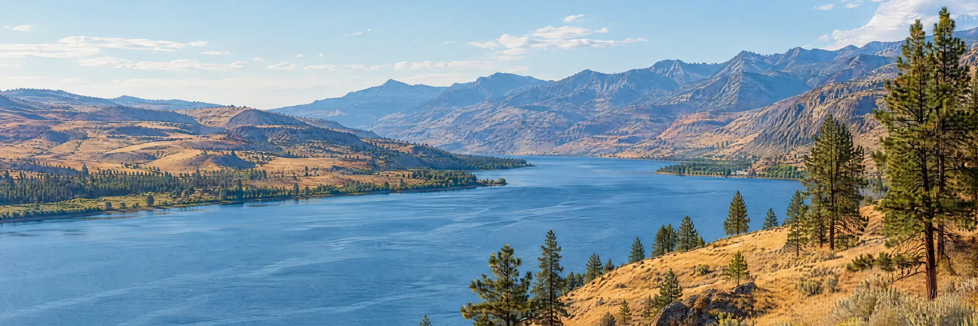 Illustration inspired by Entiat, WA: central Washington Columbia River region, broad blue river, dry golden slopes, scattered ponderosa pines and distant rugged mountain ridges.