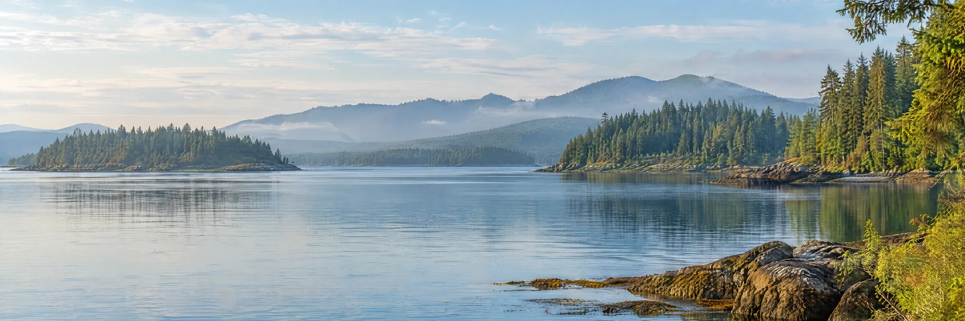 Illustration inspired by Everett, WA: washington Puget Sound region, calm tidal inlet, evergreen shoreline and hazy wooded hills.