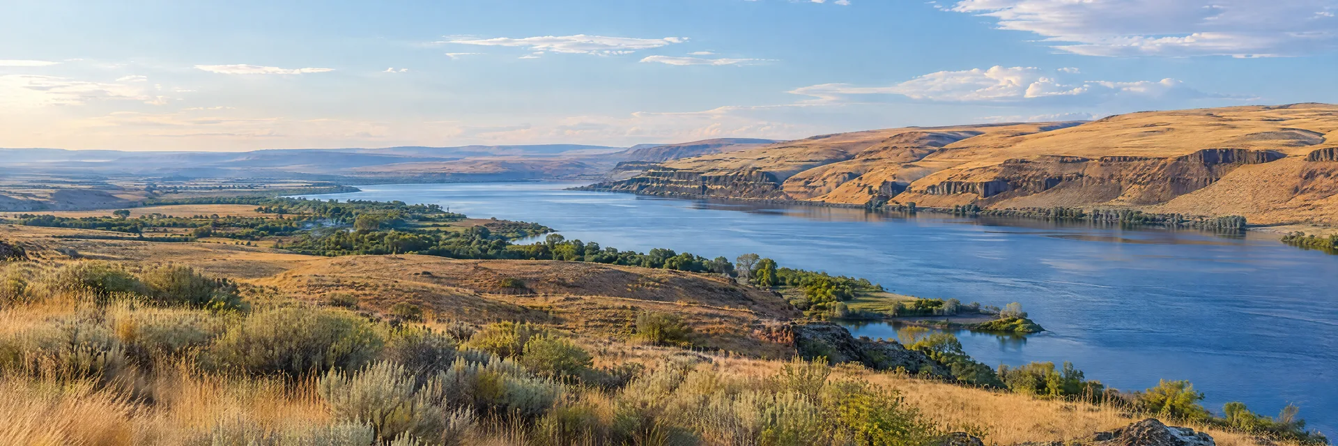 Illustration inspired by Kennewick, WA: southeastern Washington Columbia Basin, broad blue river, dry golden hills and open sagebrush grassland.