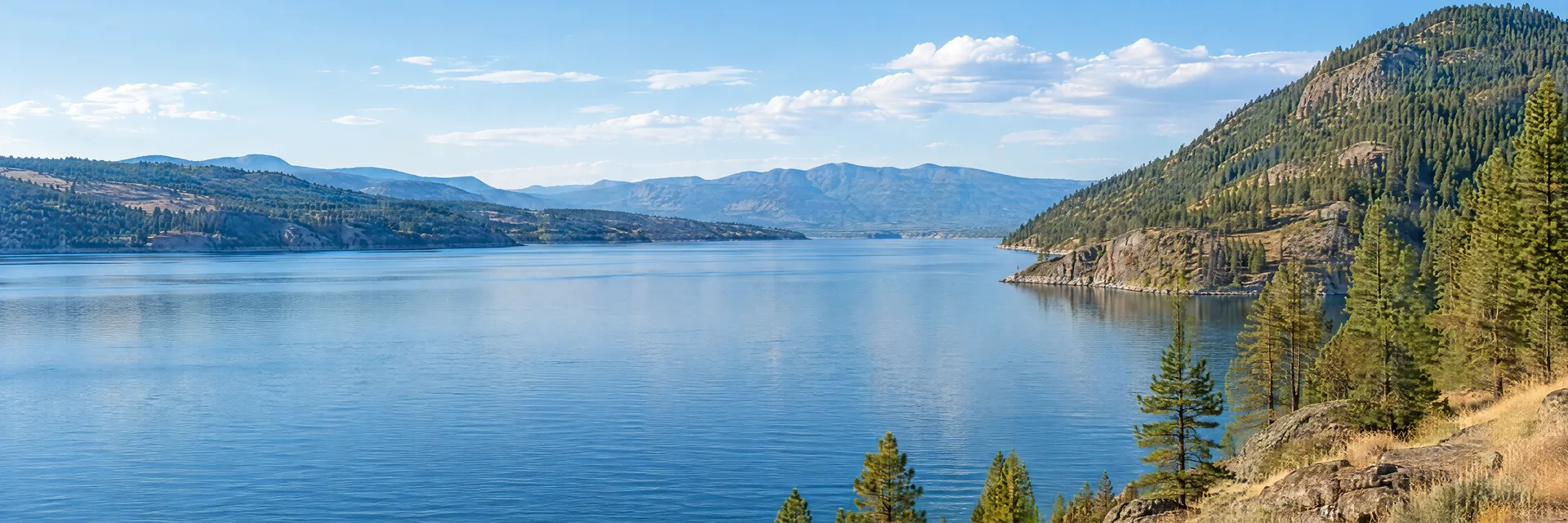 Illustration inspired by Kettle Falls, WA: lake Roosevelt-inspired broad blue reservoir, pine-covered slopes and dry grassy shore.