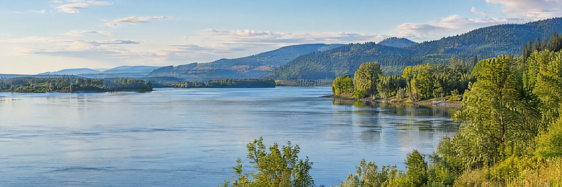 Illustration inspired by Longview, WA: southwestern Washington lower Columbia River region, broad calm river, leafy riparian trees and distant evergreen-covered hills.