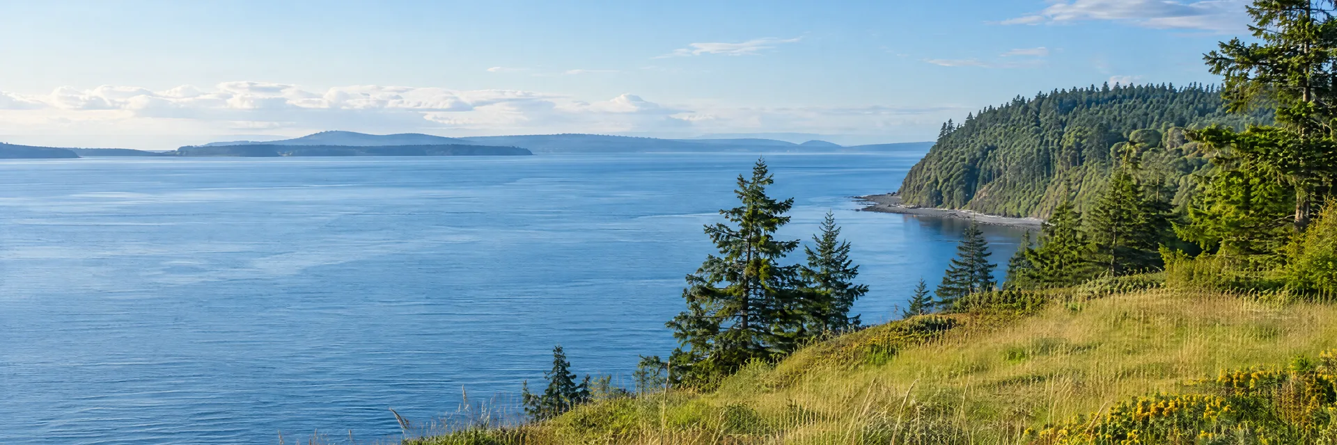 Illustration inspired by Oak Harbor, WA: whidbey Island grassy coastal bluff, evergreen trees and calm blue inland sea.