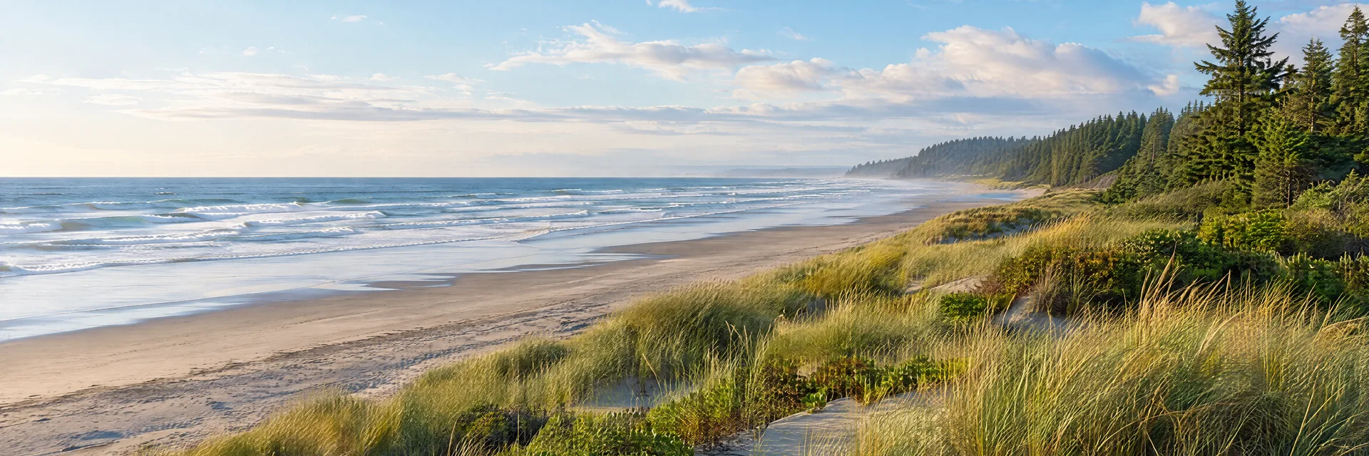 Illustration inspired by Ocean Shores, WA: washington Pacific broad sandy beach, dune grass and evergreen coastal woods.
