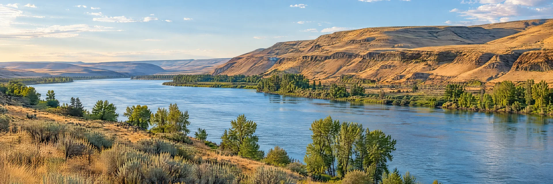 Illustration inspired by Pasco, WA: southeastern Washington broad blue river, dry golden hills, sagebrush and a few riverside cottonwoods.