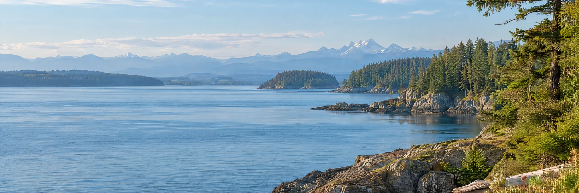 Illustration inspired by Port Townsend, WA: puget Sound shoreline, evergreen woods, sheltered blue water and distant hazy mountains.