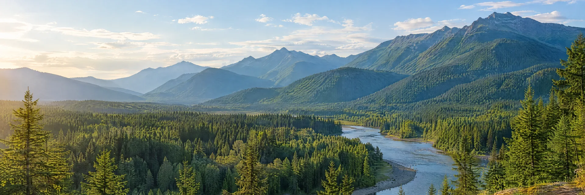 Illustration inspired by Randle, WA: washington Cascade valley with tall fir forest, river and layered green mountains.