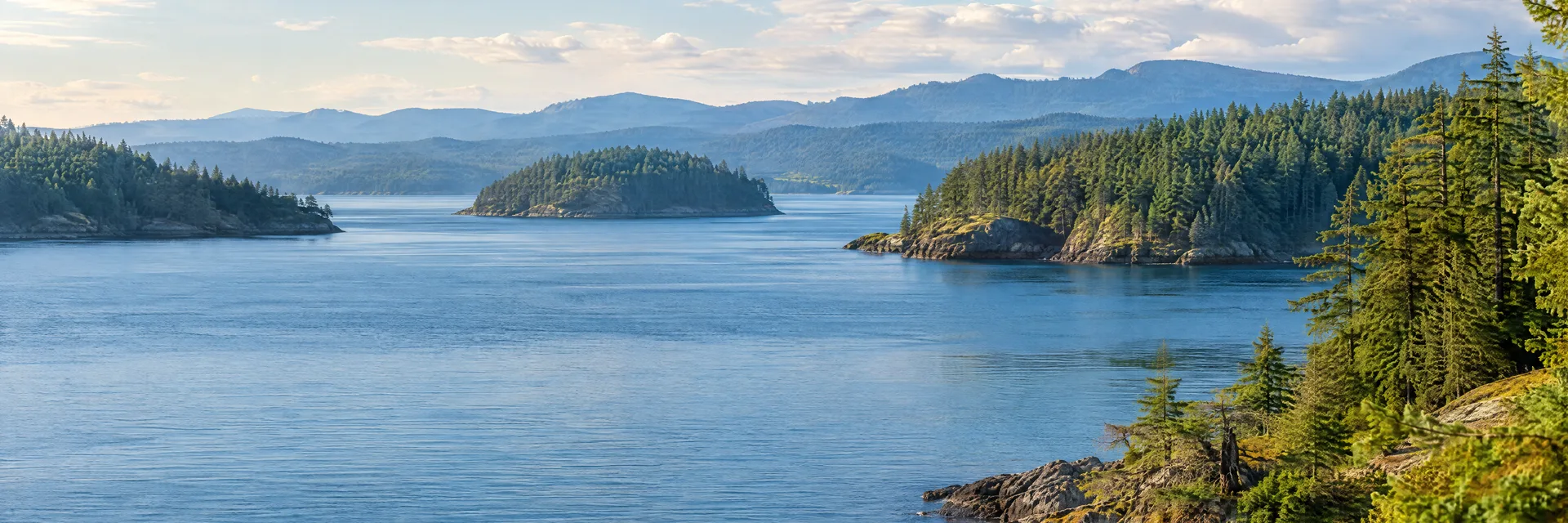 Illustration inspired by Seattle, WA: puget Sound blue inlet, evergreen shoreline and layered distant wooded hills.
