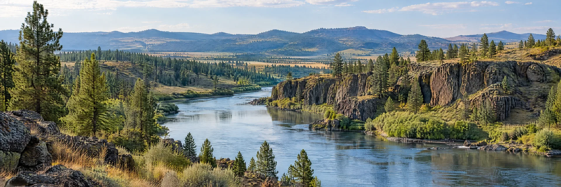 Illustration inspired by Spokane, WA: inland Northwest river with basalt outcrops, pines and open grassland.