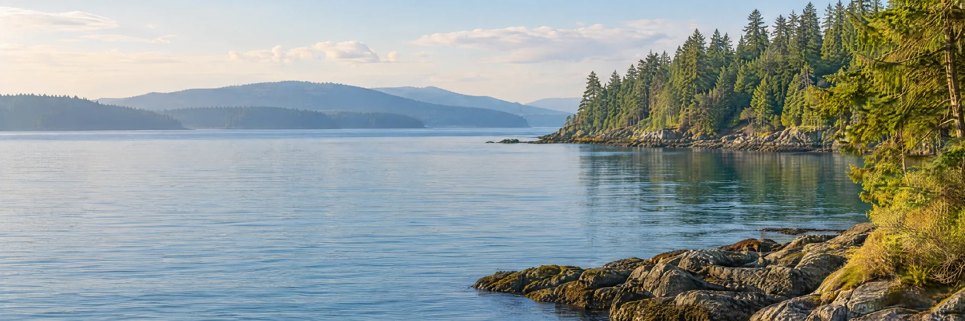 Illustration inspired by Tacoma, WA: puget Sound wooded shoreline, calm water and distant hazy hills without iconic peaks.