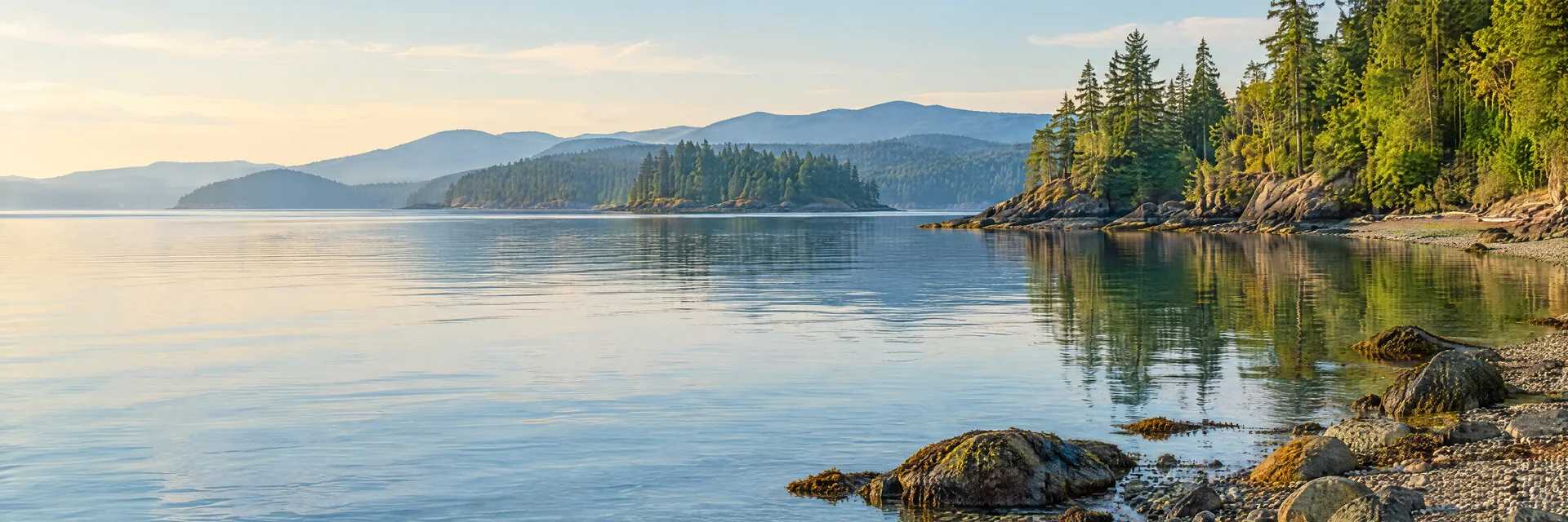 Illustration inspired by Vashon, WA: washington Puget Sound island region, calm tidal inlet, pebble shoreline, evergreen woodland and hazy distant hills.
