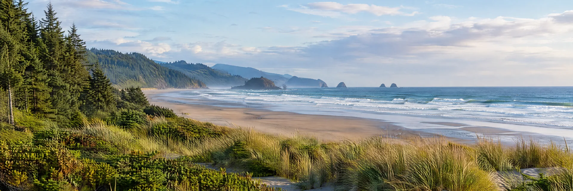 Illustration inspired by Westport, WA: washington Pacific beach with dunes and coastal evergreen forest.