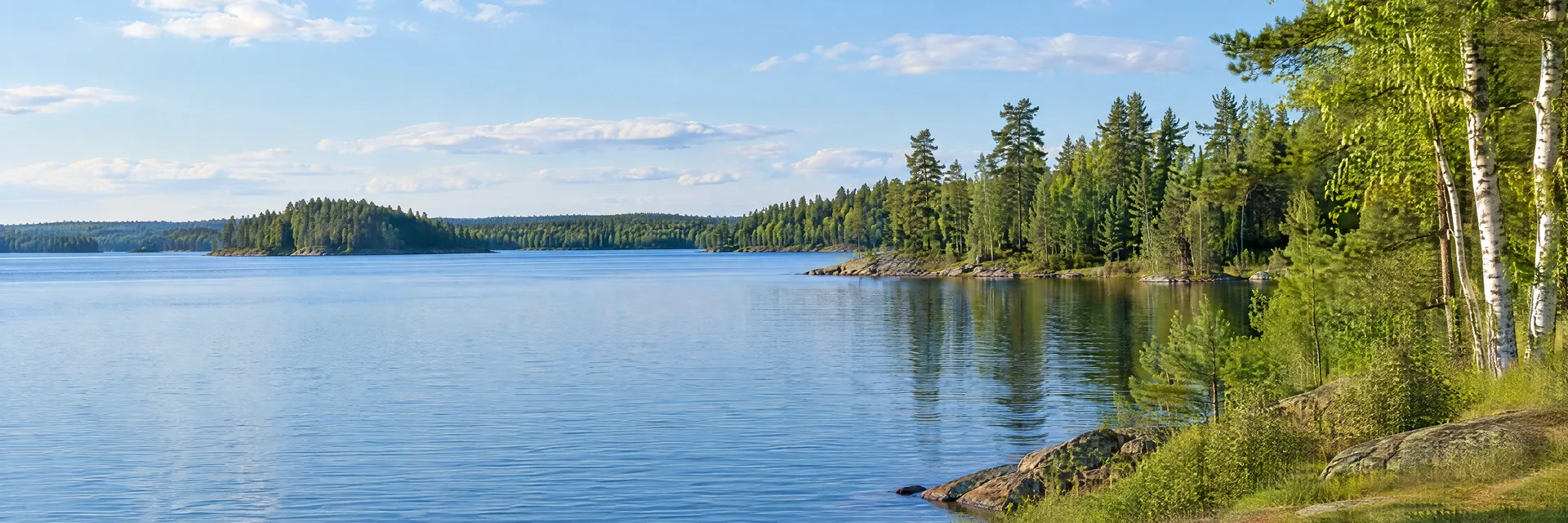Illustration inspired by Arbor Vitae, WI: northern Wisconsin lake country, calm blue water, dense pine and birch woodland and a softly sloping grassy shore.