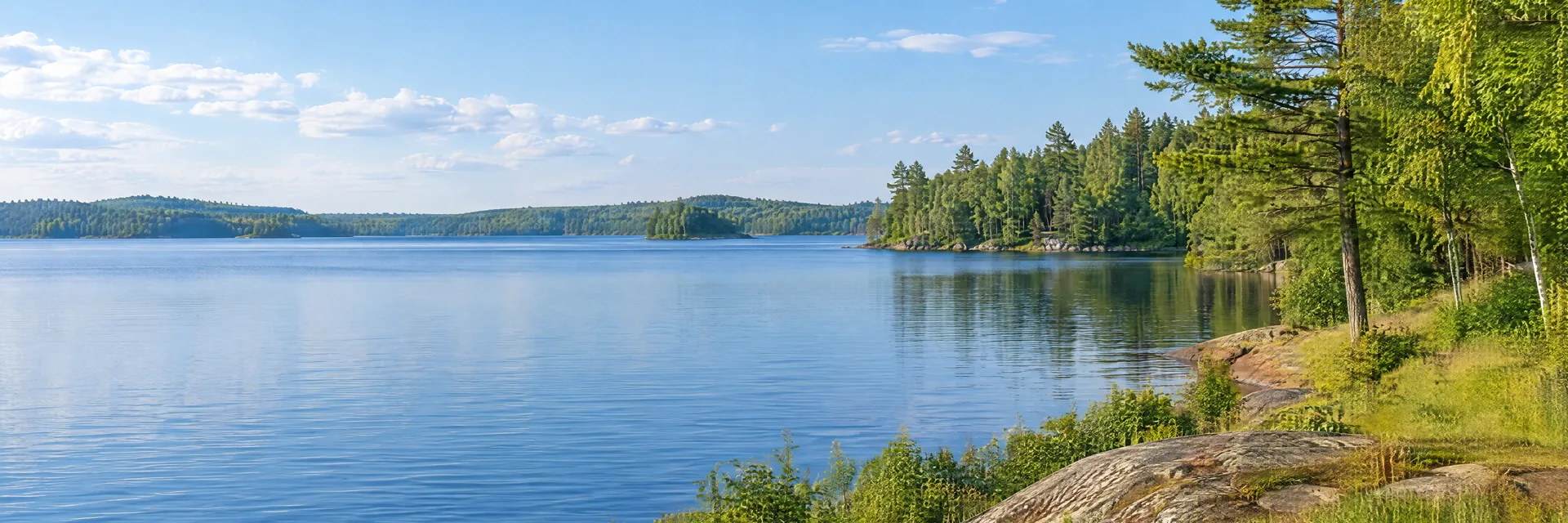 Illustration inspired by Chetek, WI: northwestern Wisconsin lake country, calm blue water, leafy hardwood and pine shoreline and low grassy meadow.