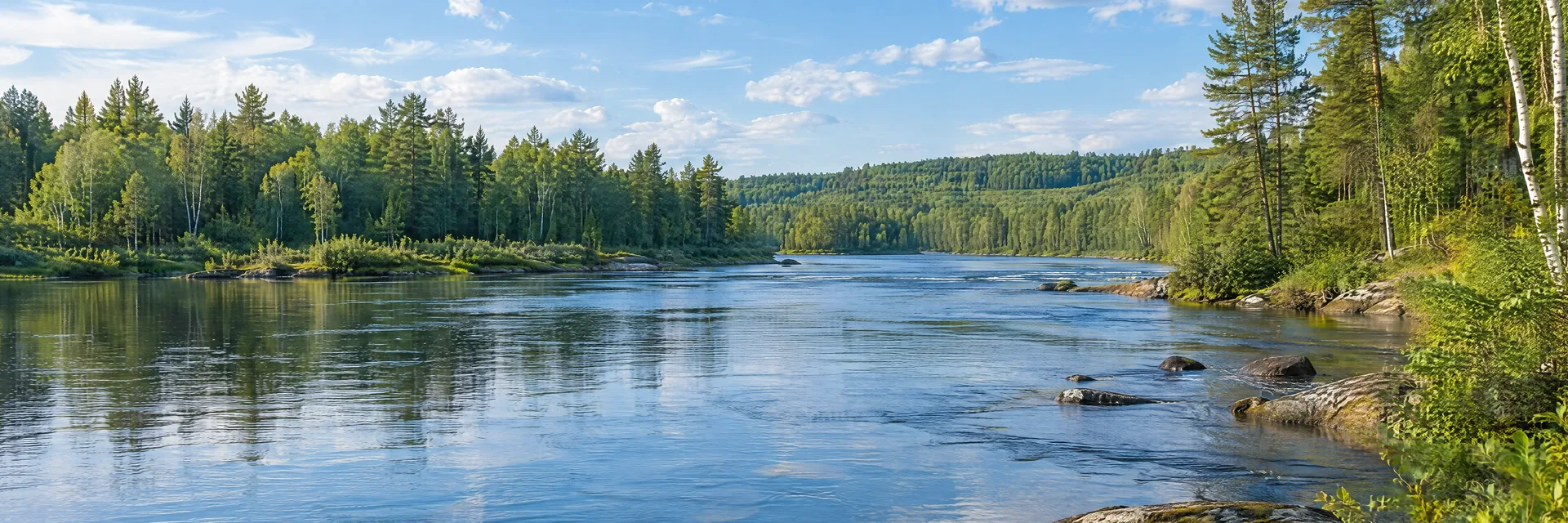 Illustration inspired by Crivitz, WI: northeastern Wisconsin clear freshwater river with pine and birch woodland and gently rolling forested banks.