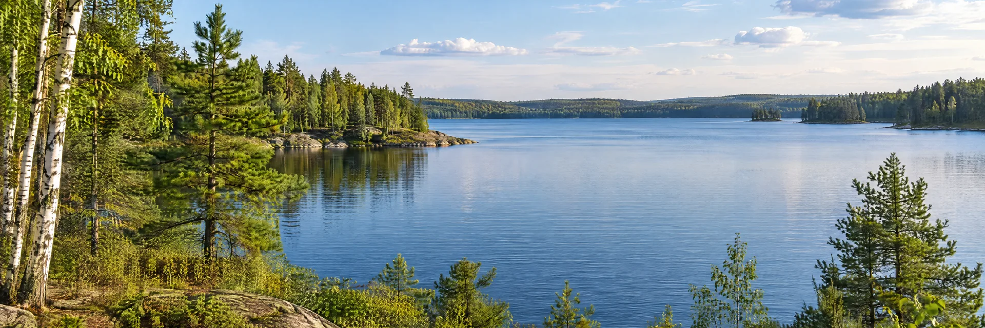Illustration inspired by Hayward, WI: northern Wisconsin lake with pine and birch forest and a rocky shore.