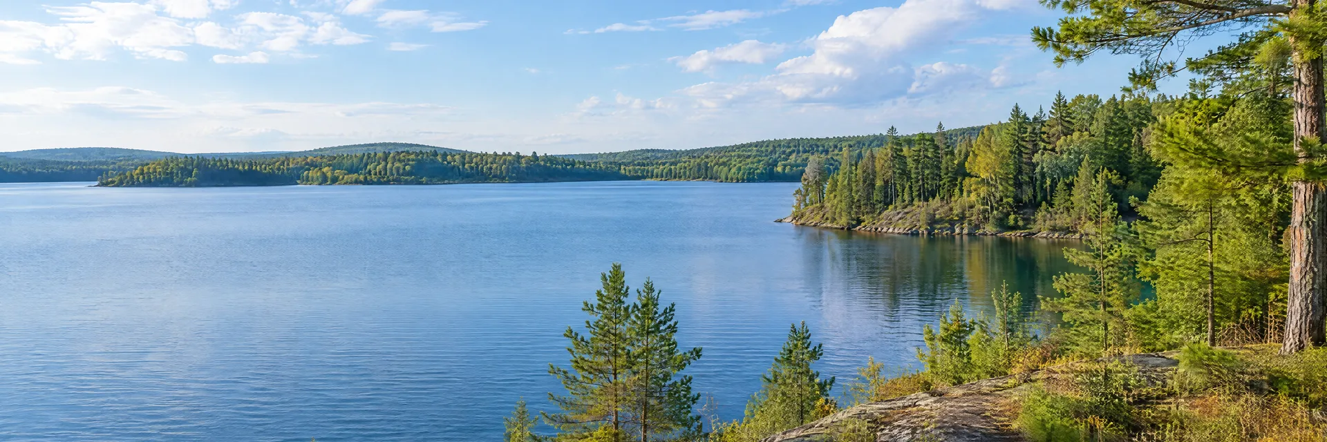 Illustration inspired by Lakewood, WI: northern Wisconsin pine and hardwood forest with a quiet blue inland lake.