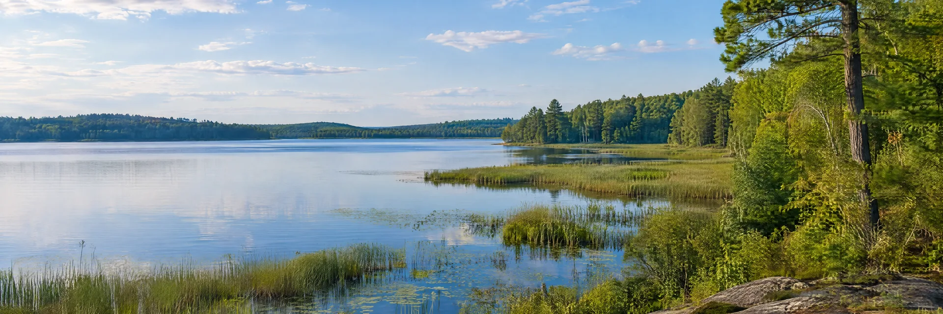 Illustration inspired by Montello, WI: central Wisconsin lake and marsh edge with pine and hardwood woodland.