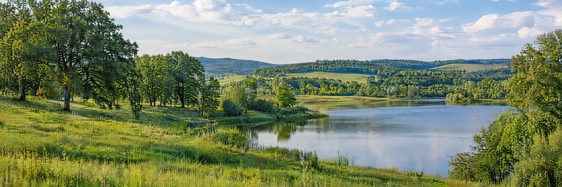Illustration inspired by Rio, WI: south-central Wisconsin countryside, rolling green meadow, leafy oak groves and a peaceful freshwater pond.