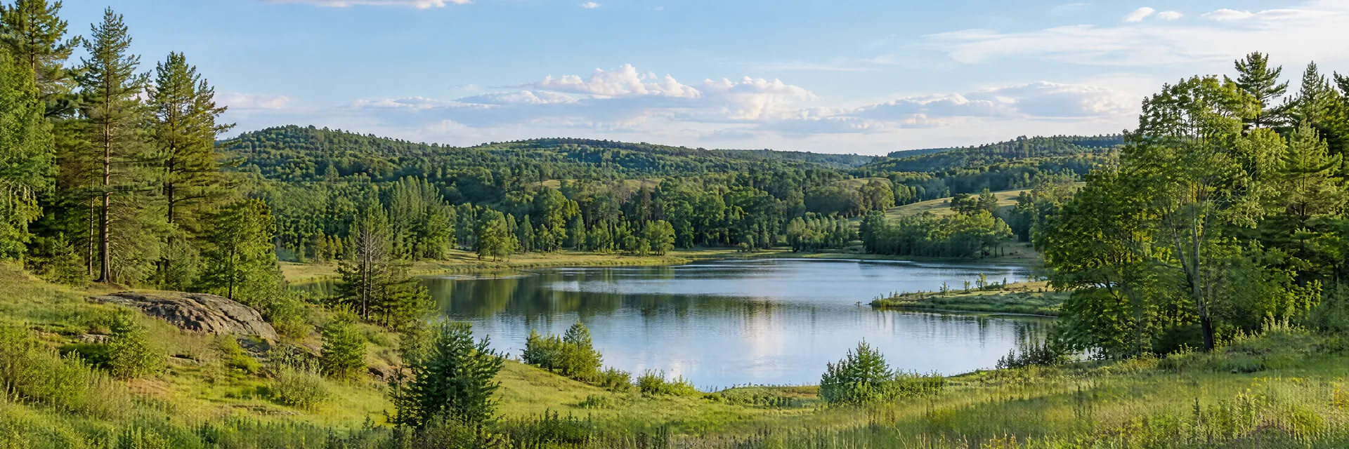 Illustration inspired by Warrens, WI: west-central Wisconsin countryside, gently rolling pine and oak woodland, green meadow and a quiet freshwater pond.