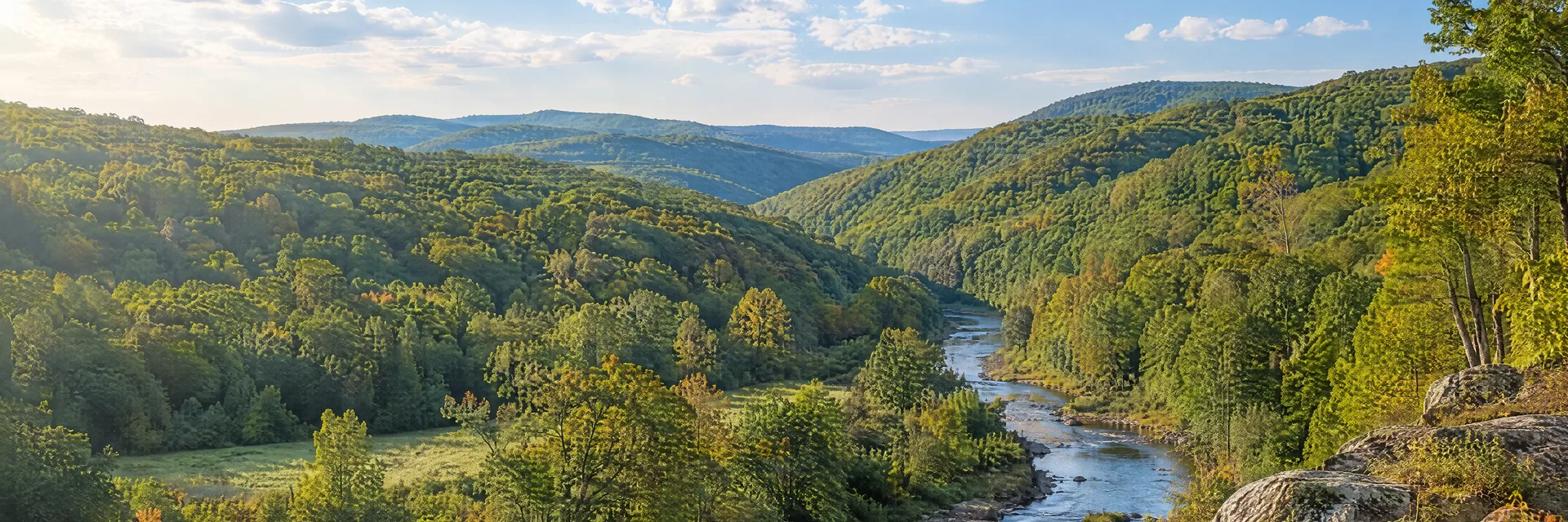 Illustration inspired by Century, WV: west Virginia rolling hardwood-covered hills and a quiet stream valley.