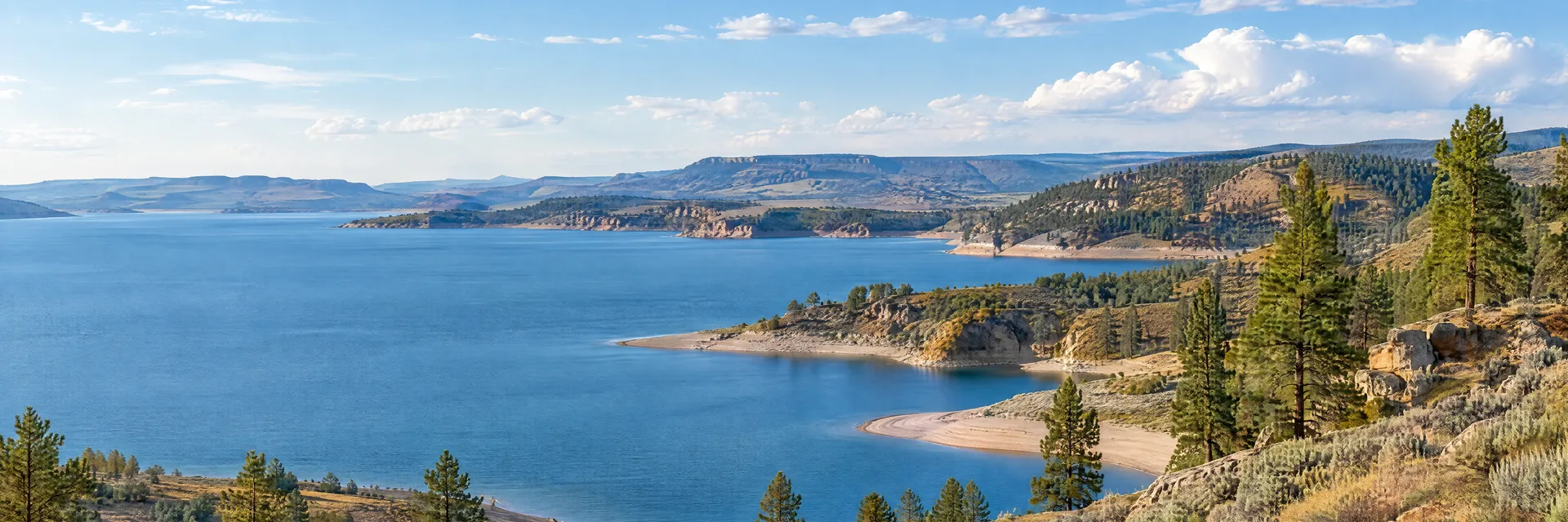 Illustration inspired by Glendo, WY: wyoming high plains reservoir with blue water, sandy coves, sagebrush slopes and scattered ponderosa pines.