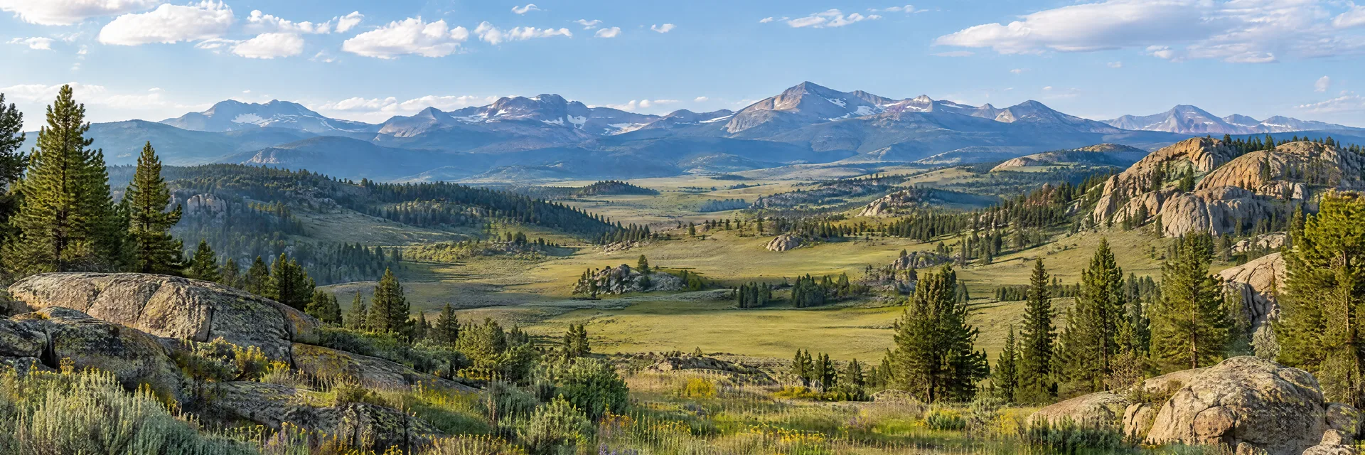 Illustration inspired by Laramie, WY: wyoming high plains meadow with granite outcrops, pines and distant mountain ridges.