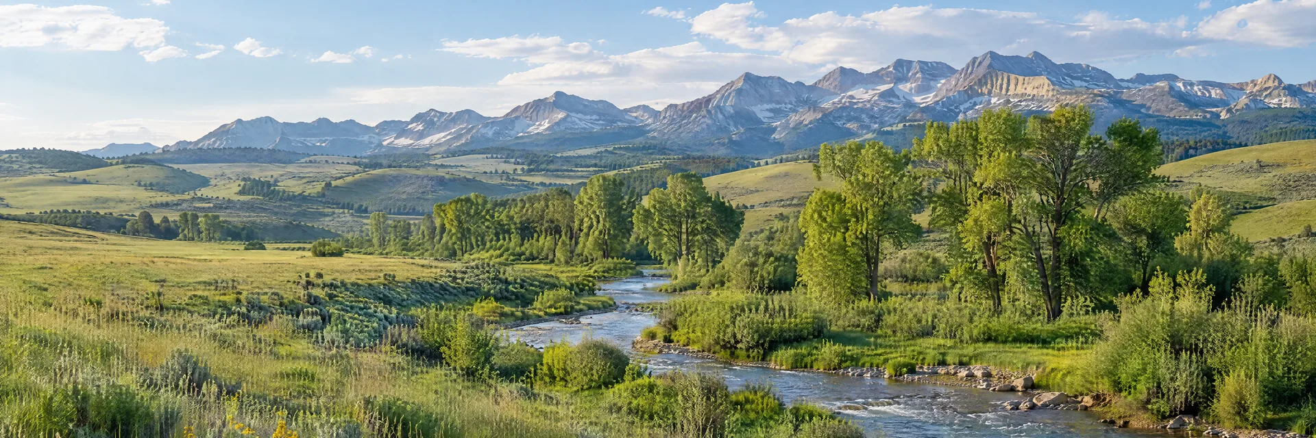Illustration inspired by Sheridan, WY: wyoming green foothill meadow, cottonwood creek and distant Bighorn mountain ridges.
