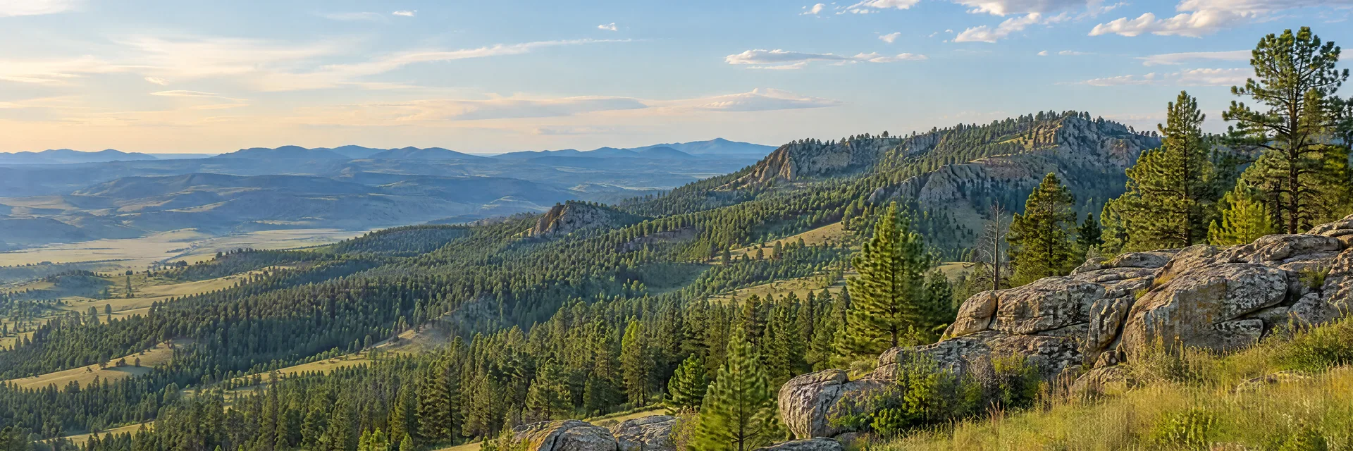 Illustration inspired by Sundance, WY: northeastern Wyoming Black Hills pine woodland, grassy slopes and weathered rocky ridges.