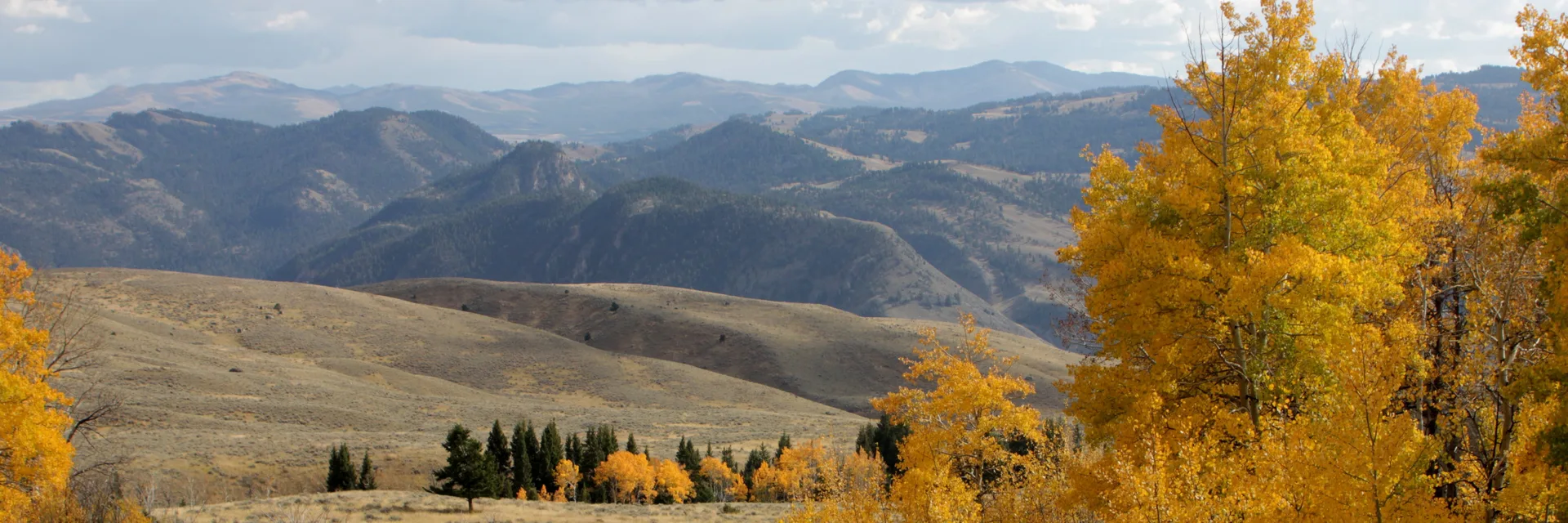 Mountain landscape looking south over Yellowstone from Eagle Creek Road in Gallatin National Forest.