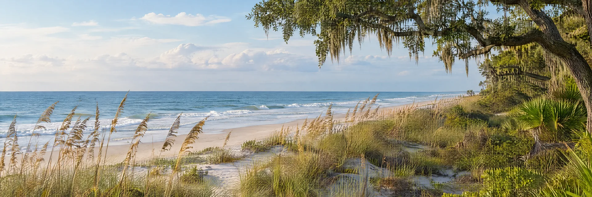 Illustration inspired by Amelia Island, FL: northeast Florida Atlantic barrier island beach, sea oats and live oak maritime woodland.