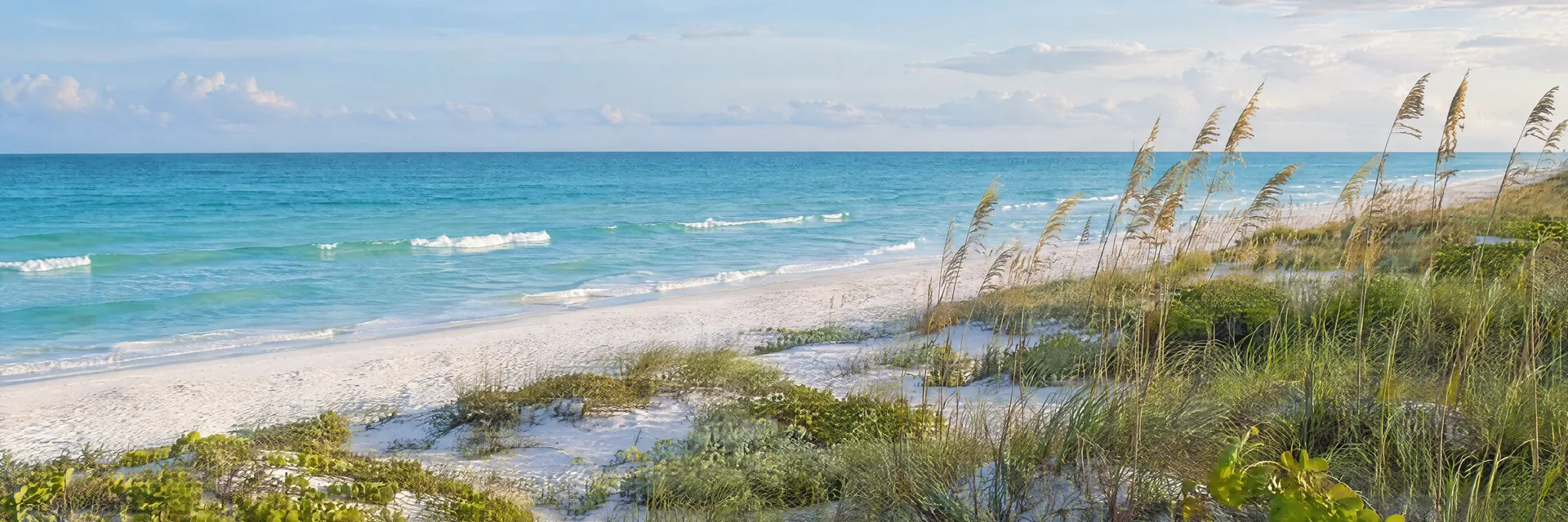 Illustration inspired by Anna Maria Island, FL: florida Gulf barrier island with white sand, gentle turquoise water, low dunes and sea oats.