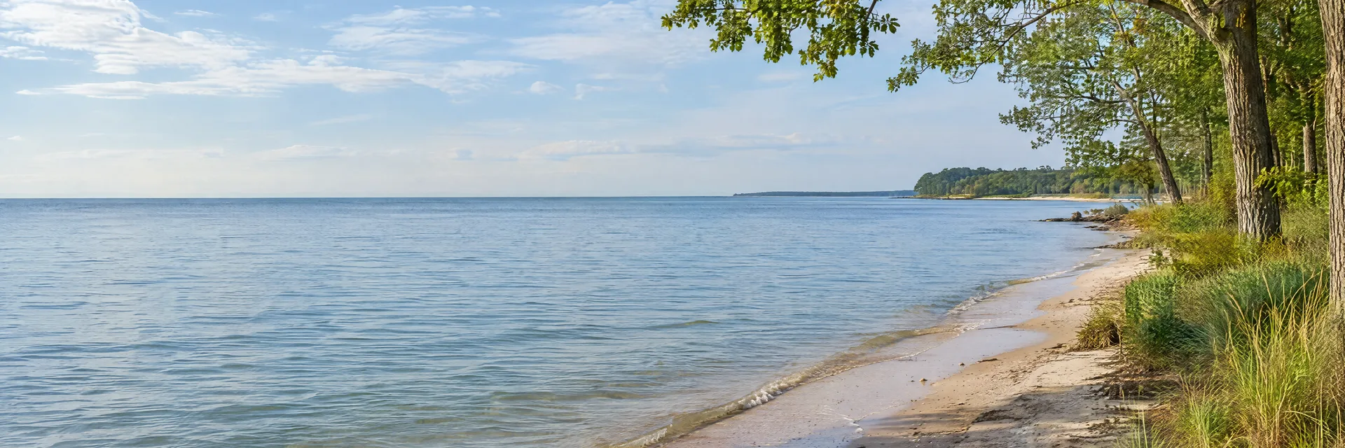 Illustration inspired by Breezy Point Beach, MD: maryland Chesapeake Bay sandy beach, leafy hardwood trees and calm broad bay water.
