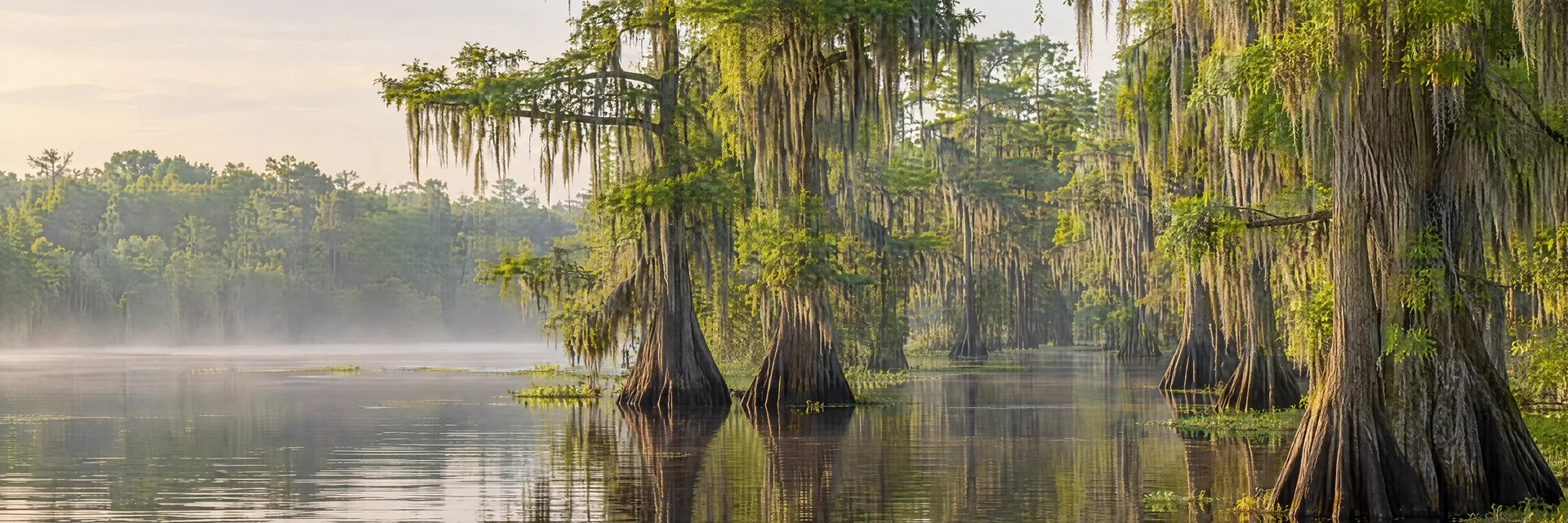AI-generated illustration inspired by Caddo Lake: moss-draped cypress trees reflected in calm wetland water.