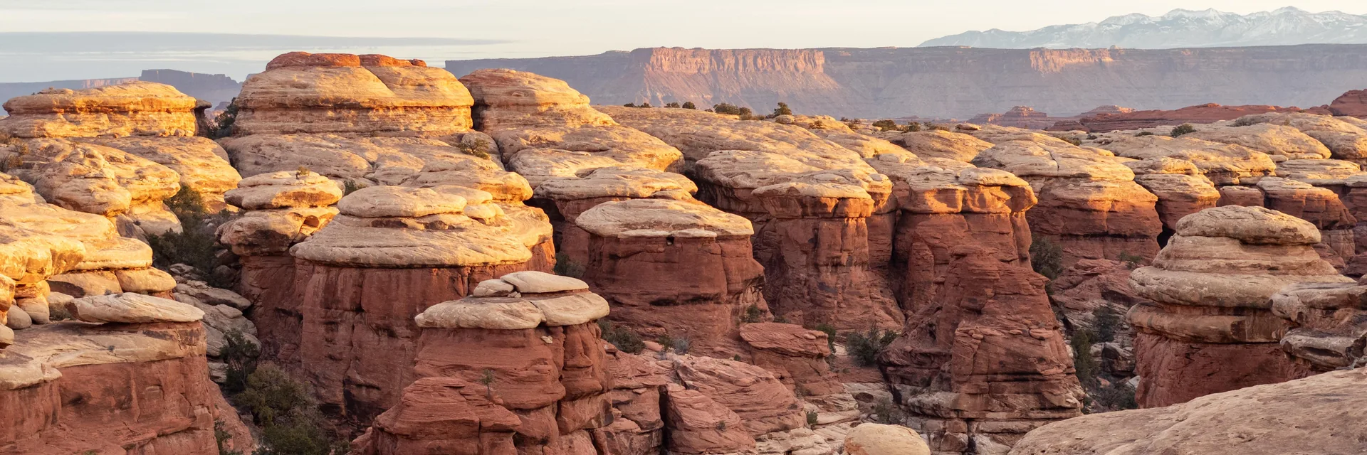 Rounded sandstone formations and layered cliffs in Canyonlands National Park.