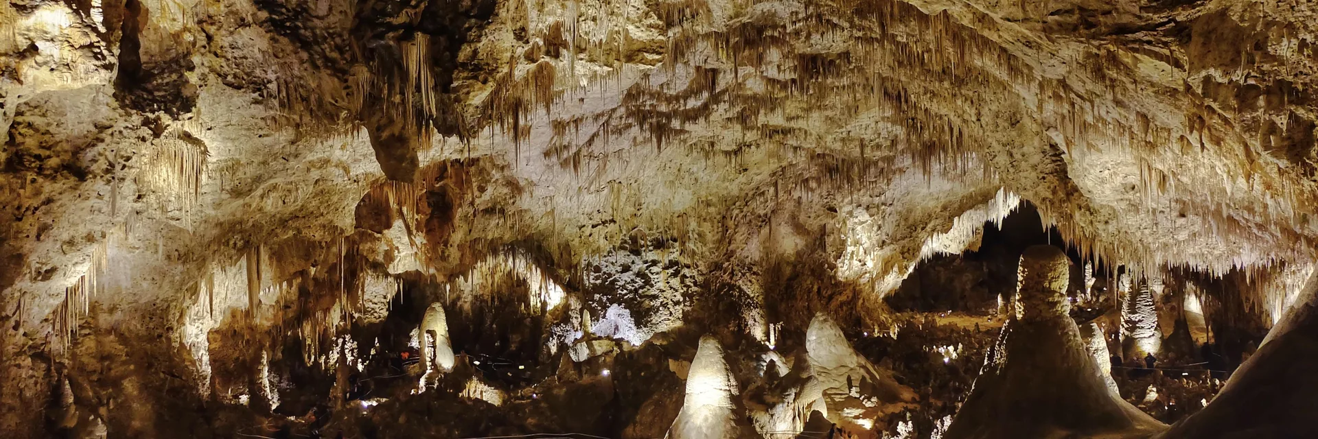 Illuminated limestone formations in the Big Room at Carlsbad Caverns National Park.