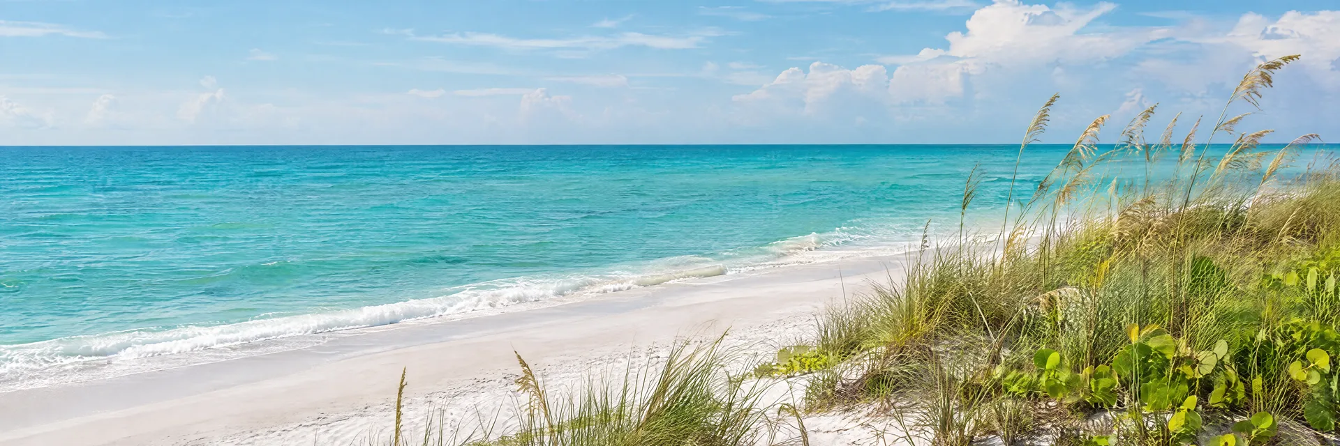 Illustration inspired by Clearwater Beach, FL: florida Gulf white sand, turquoise water and native coastal grasses.