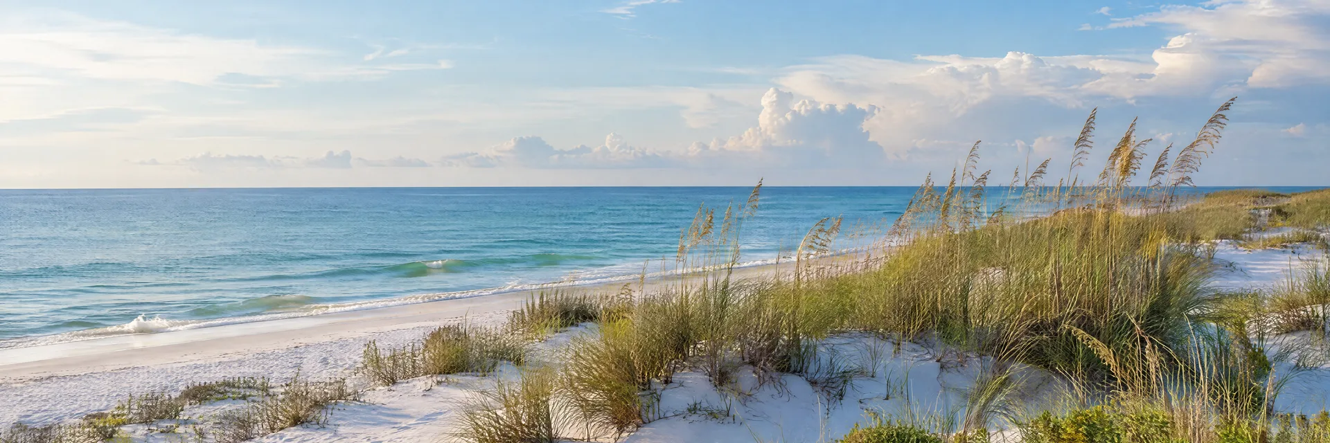 Illustration inspired by Dauphin Island, AL: alabama Gulf barrier island white sand, native dune grasses and calm blue-green sea.